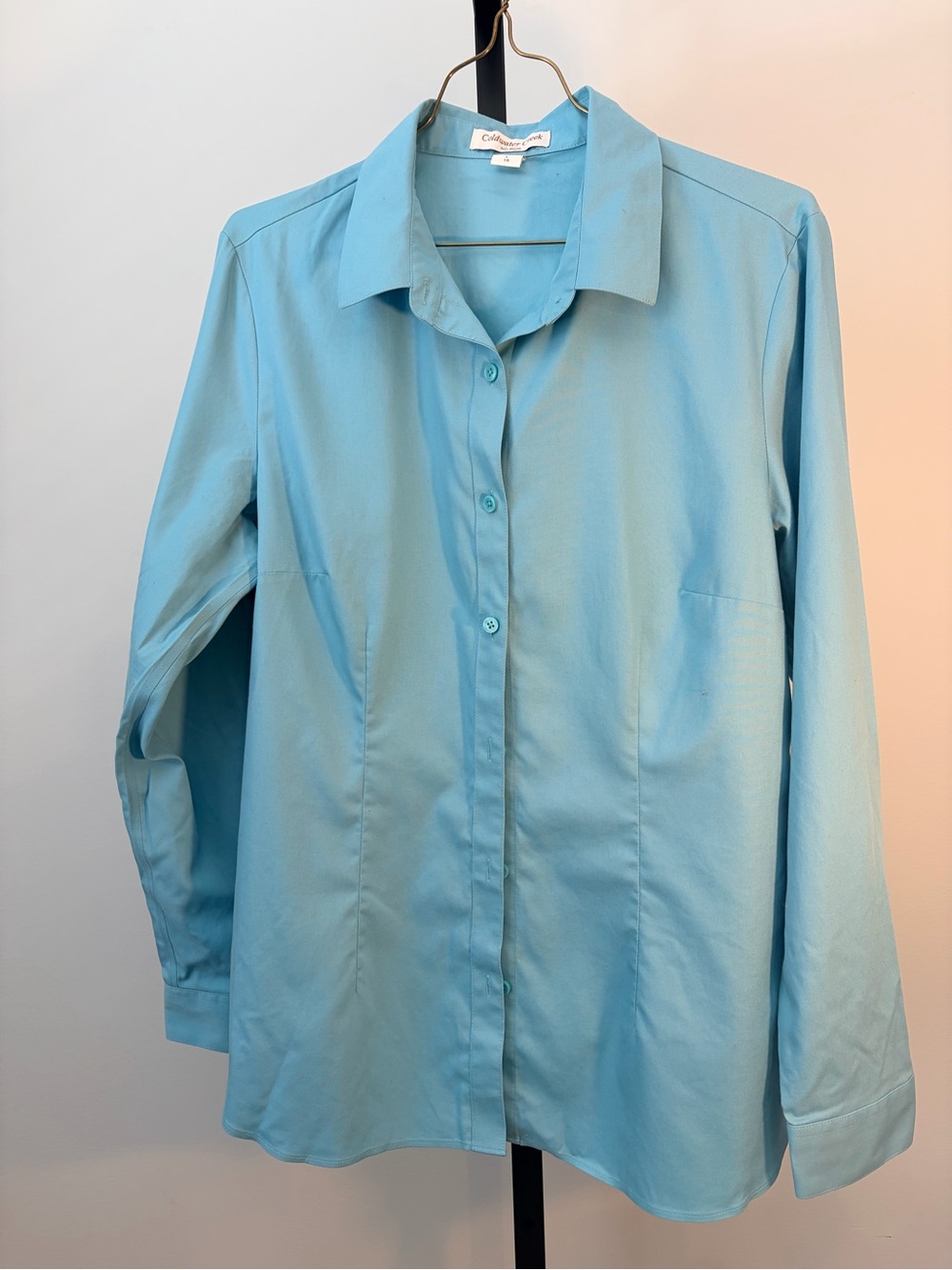 Coldwater Creek Light Blue Long-Sleeve Button-Up Shirt